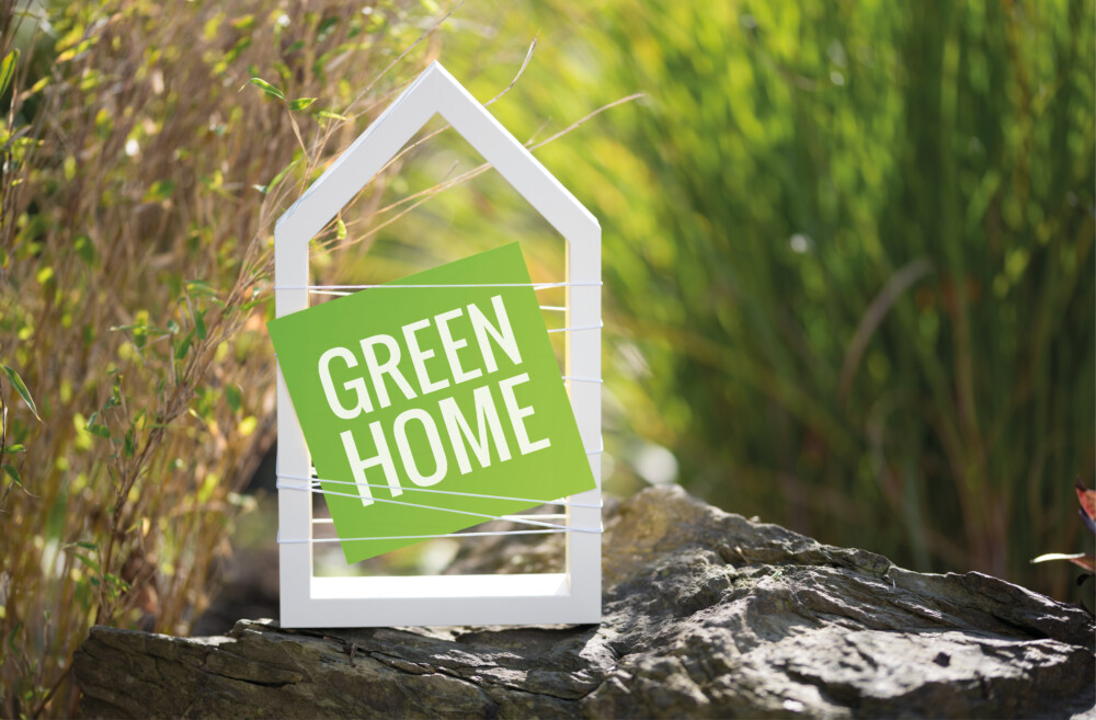 Going Green: How to Make Your Home Environmentally Friendly