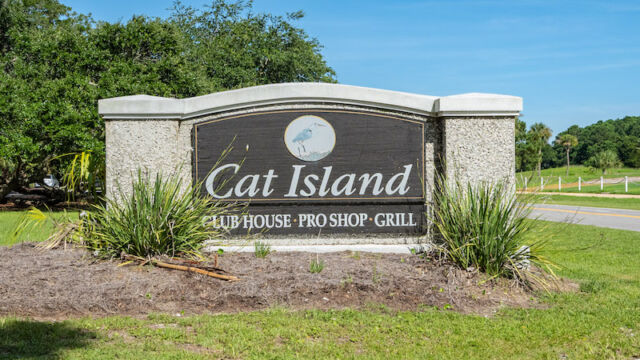 cat island