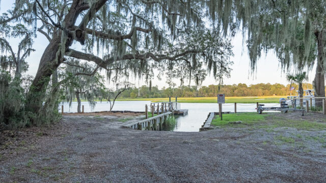 live oaks