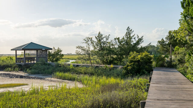willow point