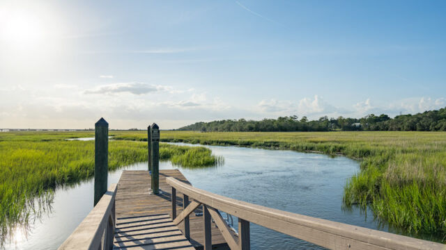 willow point