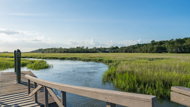 willow point