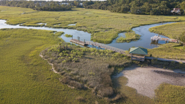 willow point