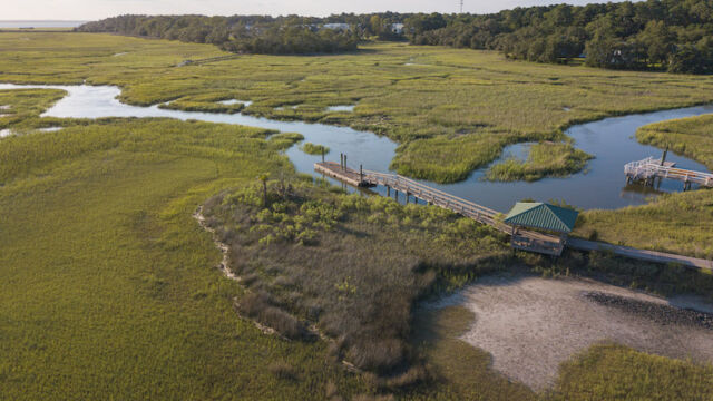 willow point