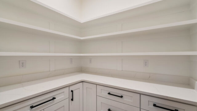 Pantry with built-in cabinets, wooden shelving, and organized storage space.